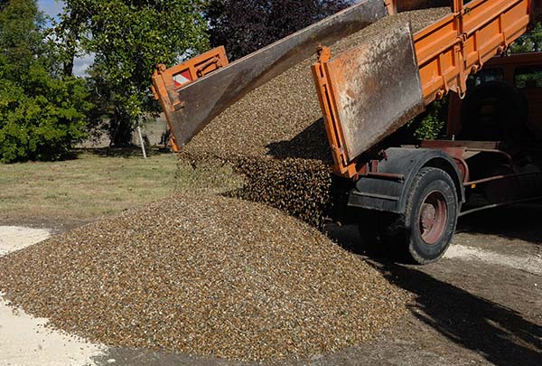 comenzi online balastru